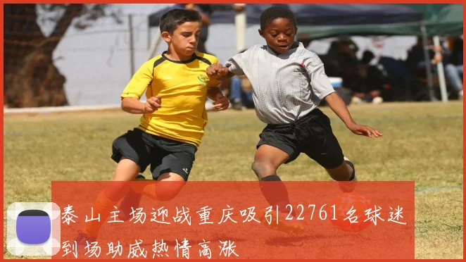 泰山主场迎战重庆吸引22761名球迷到场助威热情高涨