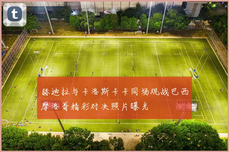 赫迪拉与卡洛斯卡卡同场观战巴西摩洛哥精彩对决照片曝光